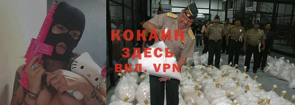 ГАЛЛЮЦИНОГЕННЫЕ ГРИБЫ Сосновый Бор