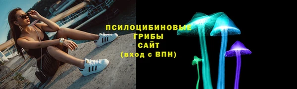 apvp Богородск