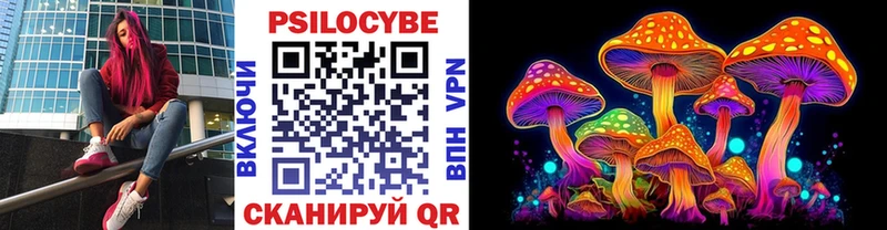 Псилоцибиновые грибы мицелий  Данков 